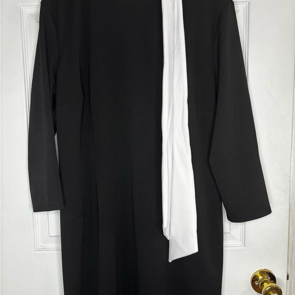 New York & Company Black Dress with White Accent